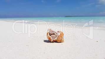 v01109 Maldives beautiful beach background white sandy tropical paradise island with blue sky sea water ocean 4k hermit crab