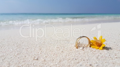 v01139 Maldives beautiful beach background white sandy tropical paradise island with blue sky sea water ocean 4k yellow flower gold wedding ring