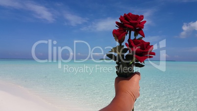 v01141 Maldives beautiful beach background white sandy tropical paradise island with blue sky sea water ocean 4k hand holding red rose