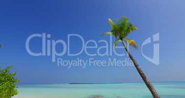 v01144 Maldives beautiful beach background white sandy tropical paradise island with blue sky sea water ocean 4k palm tree