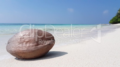 v01167 Maldives beautiful beach background white sandy tropical paradise island with blue sky sea water ocean 4k dry coconut