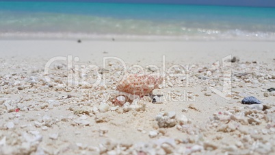 v01175 Maldives beautiful beach background white sandy tropical paradise island with blue sky sea water ocean 4k seashell
