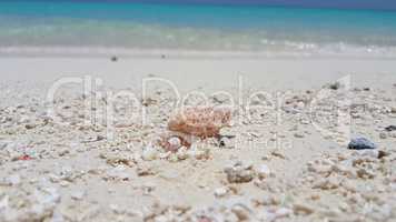 v01175 Maldives beautiful beach background white sandy tropical paradise island with blue sky sea water ocean 4k seashell