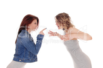 Two woman fighting.