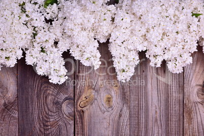 bouquet of blossoming white lilacs on a gray wooden surface