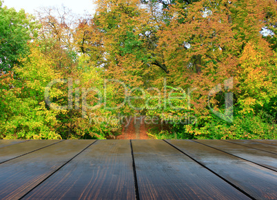 wooden boards with view to park path