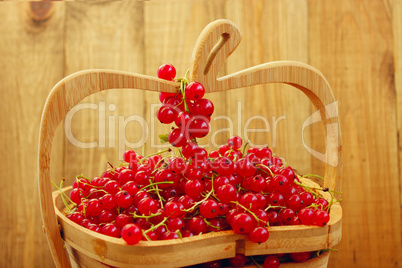 red currant on the wooden vase