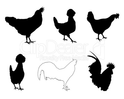 Set of different hens and roosters