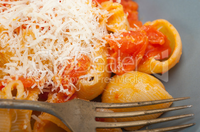 Italian snail lumaconi pasta with tomatoes