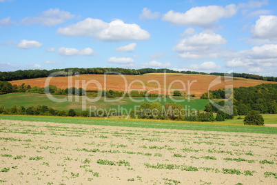 Herbstlandschaft