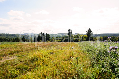 blaue Felder im Herbst