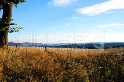 Brachland im Idarwald