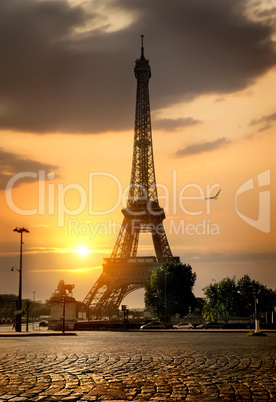 Gorgeous Eiffel Tower