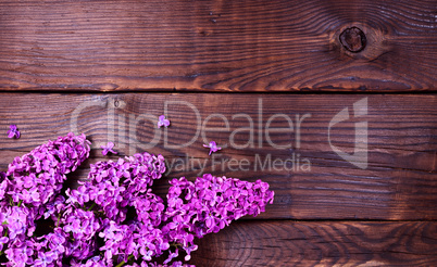 Flowering lilac branch on a brown wooden surface