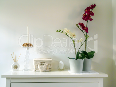 elegant interior with an orchid
