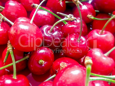 close up of red cherries