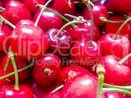 close up of red cherries