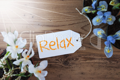 Sunny Flowers, Label, Text Relax