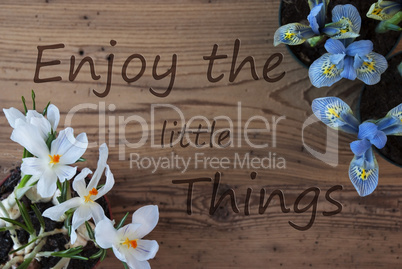 Crocus And Hyacinth, Quote Enjoy The Little Things