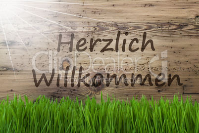 Sunny Wooden Background, Gras, Herzlich Willkommen Means Welcome