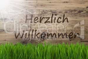 Sunny Wooden Background, Gras, Herzlich Willkommen Means Welcome