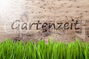 Bright Sunny Wooden Background, Gras, Gartenzeit Means Garden Time