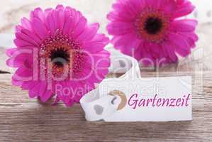 Pink Spring Gerbera, Label, Gartenzeit Means Garden Time
