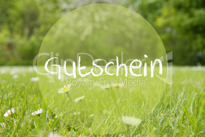 Gras Meadow, Daisy Flowers, Gutschein Means Voucher