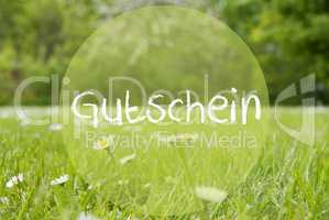 Gras Meadow, Daisy Flowers, Gutschein Means Voucher