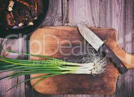 Green onion on a kitchen cutting board