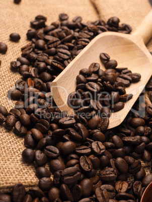 Coffee beans close up