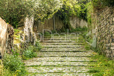 Nature trail in Levanto on the Ligurian coast