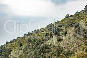 CinqueTerre, world cultural heritage on the Italian Mediterranean coast