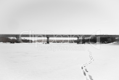 bridge on the river