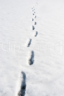 footprints in the snow