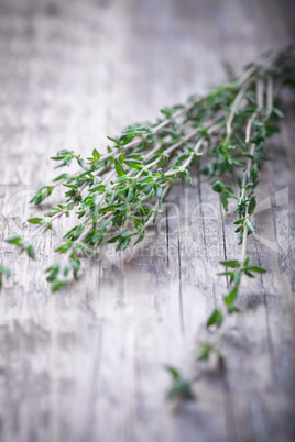 Green thyme on the wood table
