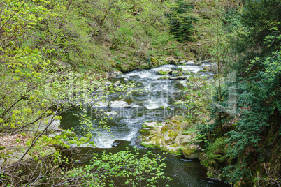 Landschaft im Bodetal im Harz