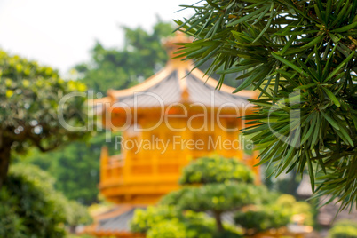 Green Branch and Defocused Golden Pavilion
