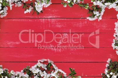 Red wooden background with cherry blossoms