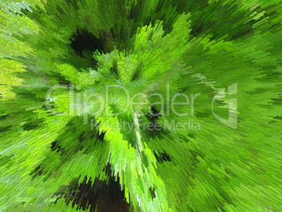 abstract green pattern like an explosion