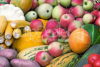 Vegetable harvest is sold at the fair.