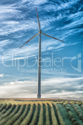 Landschaftpanorama mit Windturbine