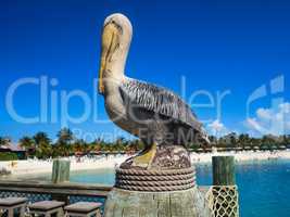 Pelican Stature