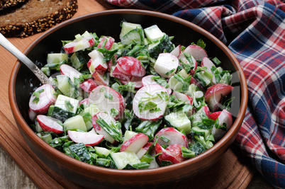 Salad from radish and cucumber