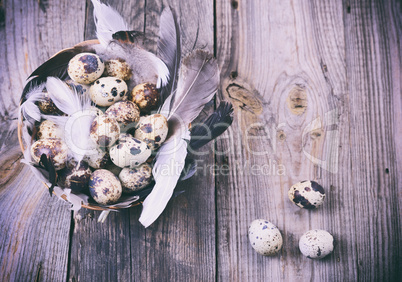 Quail eggs in a basket with feathers