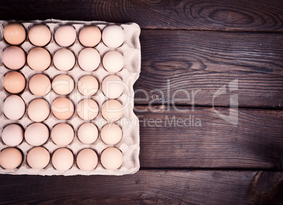 Chicken eggs in a paper tray