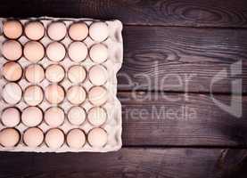 Chicken eggs in a paper tray