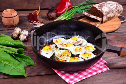 Fried quail eggs