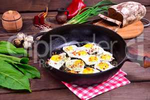 Fried quail eggs