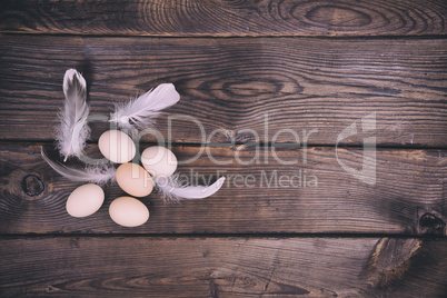 group of chicken eggs on brown wooden surface
